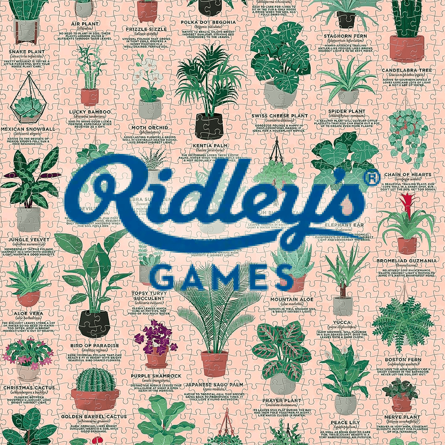 Ridley's Games - puzzlegarden