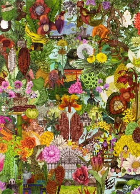 50 növény a világ körül Laurence King 1000 darabos kirakó puzzle (LK - 9781399609104) - puzzlegarden