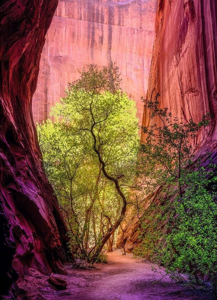 A Canyon HEYE 1000 darabos kirakó puzzle (HE - 29944) - puzzlegarden