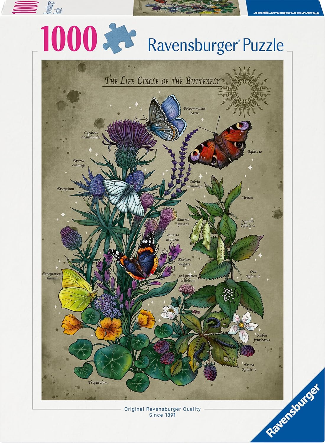 A lepkék életciklusa Ravensburger 1000 darabos kirakó puzzle (RA-12001435) - puzzlegarden