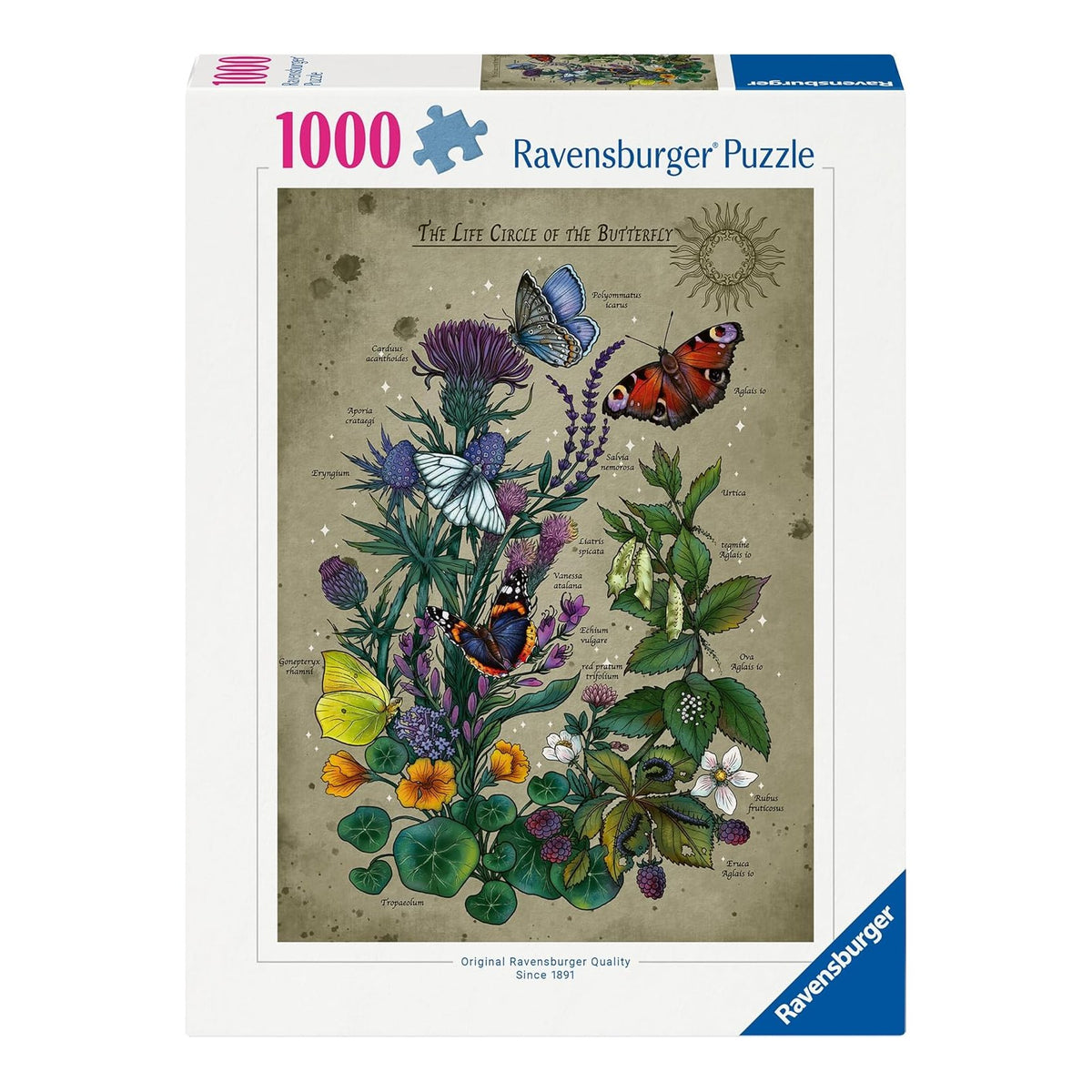 A lepkék életciklusa Ravensburger 1000 darabos kirakó puzzle (RA-12001435) - puzzlegarden