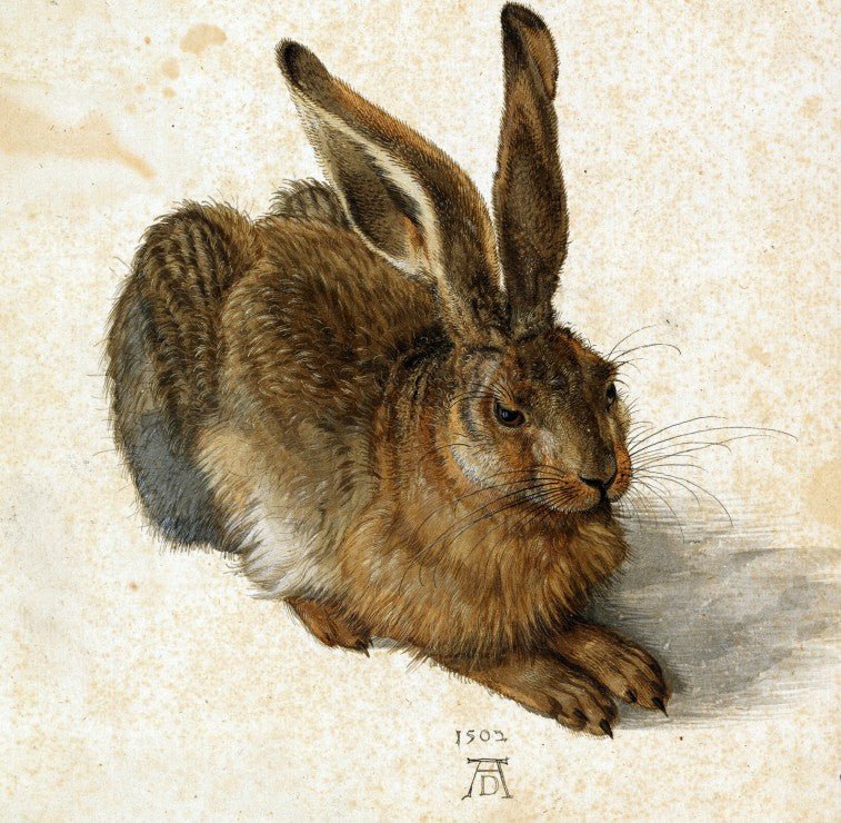 Dürer - A Nyúl Grafika 1000 darabos kirakó puzzle (GR - T - 02340) - puzzlegarden