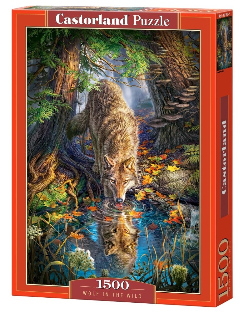 Farkas a vadonban Castorland 1500 darabos kirakó puzzle (C - 151707) - puzzlegarden