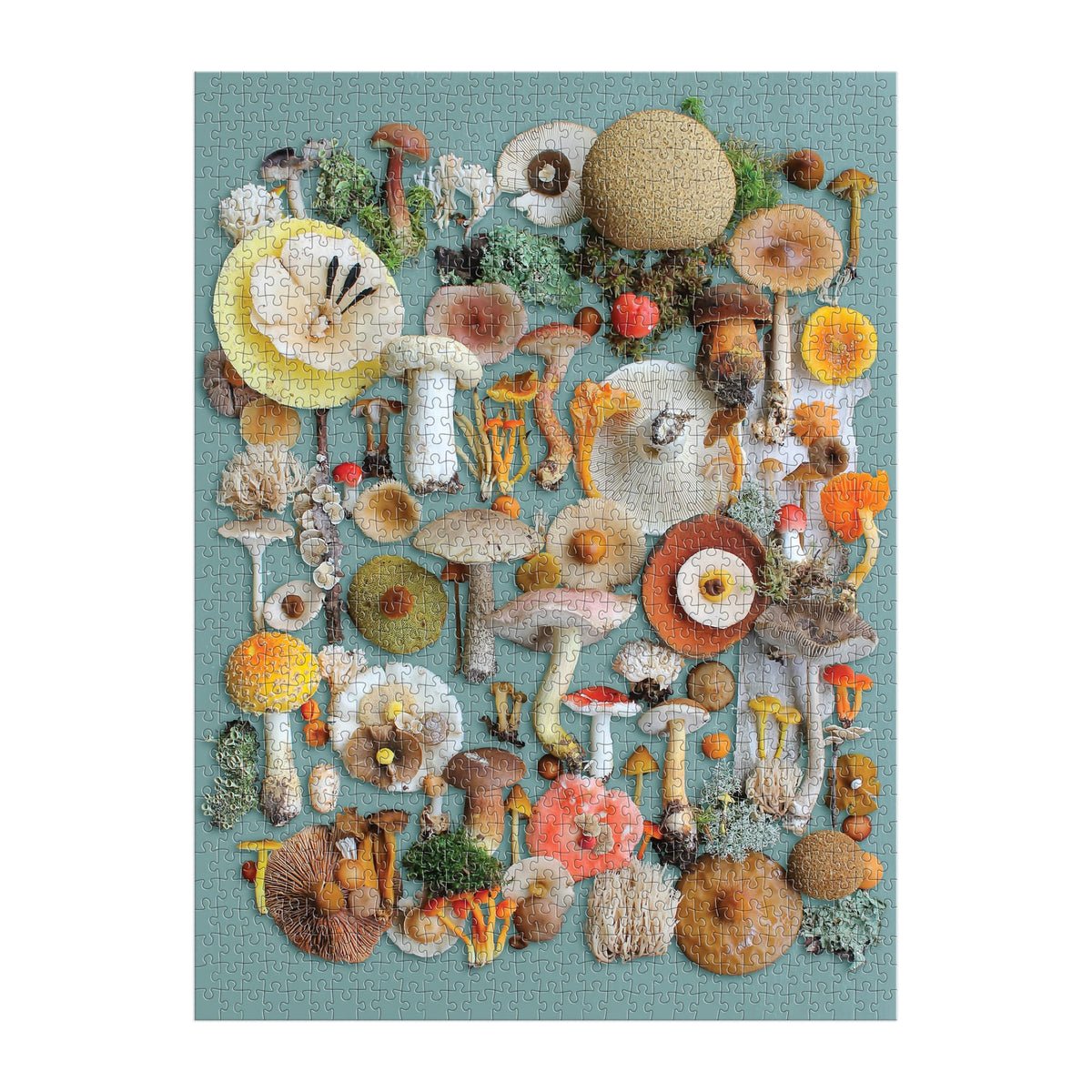 Gombászkodás Galison 1000 darabos kirakó puzzle (GA - 9780735376069) - puzzlegarden