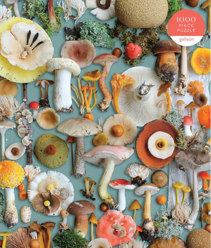 Gombászkodás Galison 1000 darabos kirakó puzzle (GA - 9780735376069) - puzzlegarden