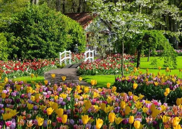 Gyönyörű Kertek - Keukenhof, Hollandia Ravensburger 1000 darabos kirakó puzzle (RA - 12000851) - puzzlegarden