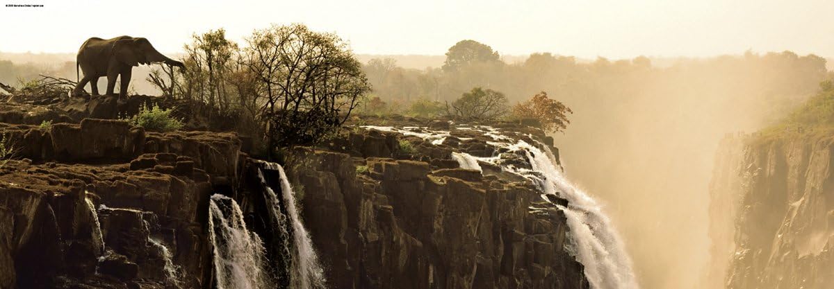 Humboldt - Az Elefánt - panoráma HEYE 1000 darabos kirakó puzzle (HE - 29287) - puzzlegarden