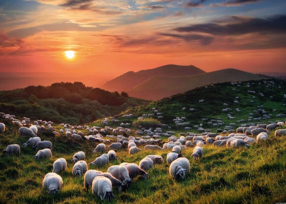 Humboldt - Bárányok a hegyekben HEYE 1000 darabos kirakó puzzle (HE - 29977) - puzzlegarden