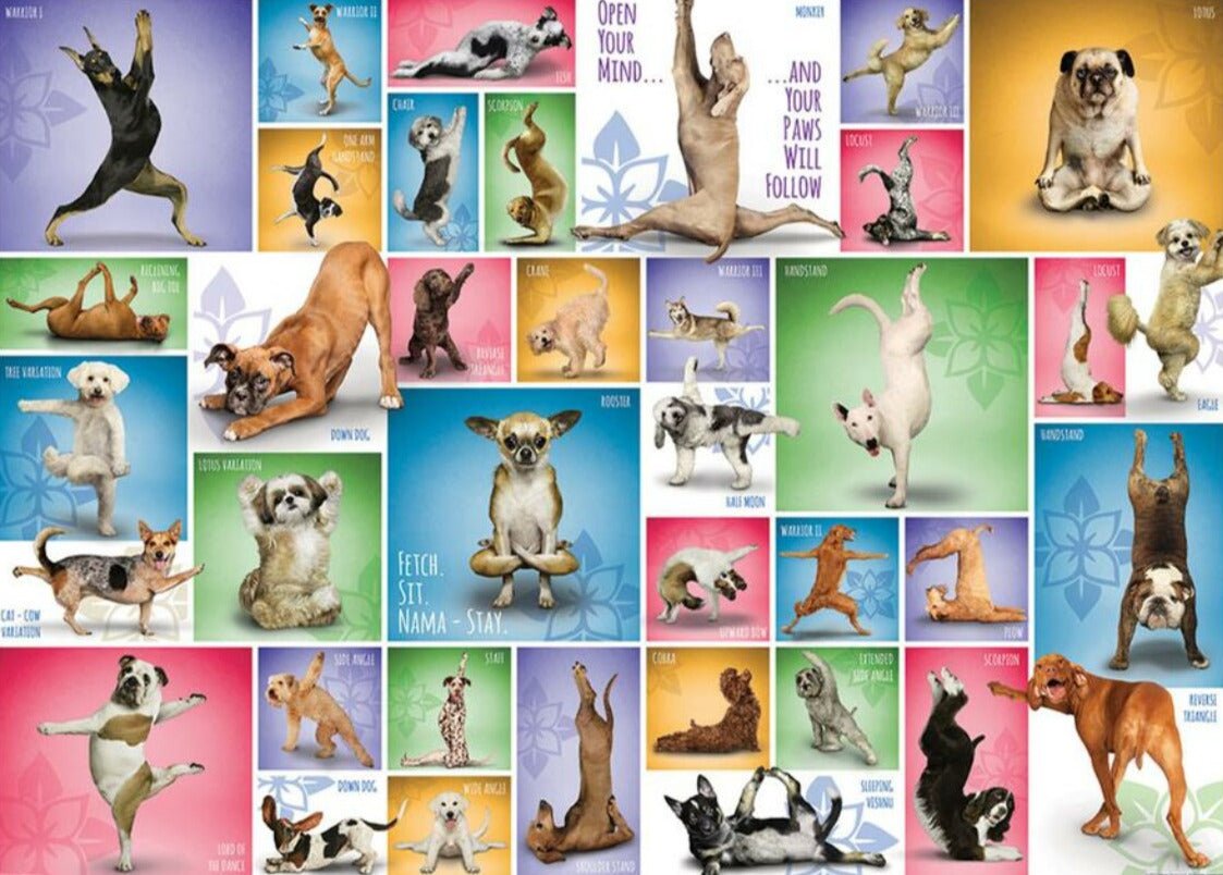 Jógázó Kutyák Eurographics 1000 darabos kirakó puzzle (EUR - 6000 - 0954) - puzzlegarden