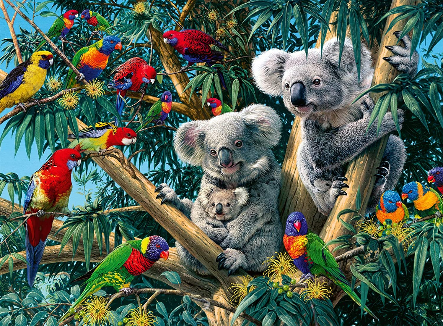 Koalák a fán Ravensburger 500 darabos kirakó puzzle (RA - 14826) - puzzlegarden