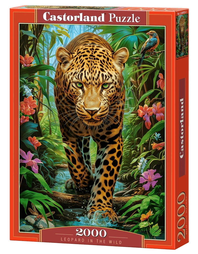 Leopárd a Vadonban Castorland 2000 darabos kirakó puzzle (C - 200955) - puzzlegarden