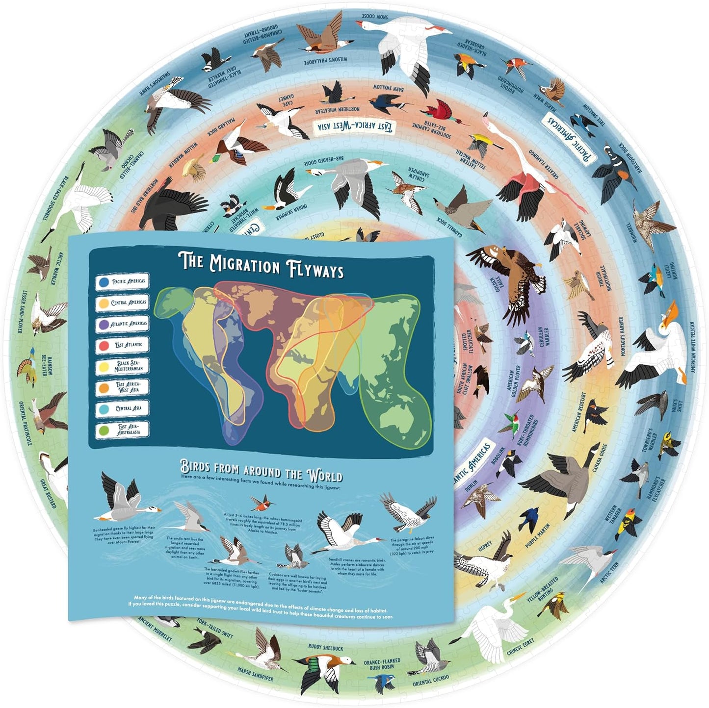 Madár Kedvelők - díszdobozban Ridley's Games 1000 darabos kirakó puzzle (GA - 9781797229140) - puzzlegarden