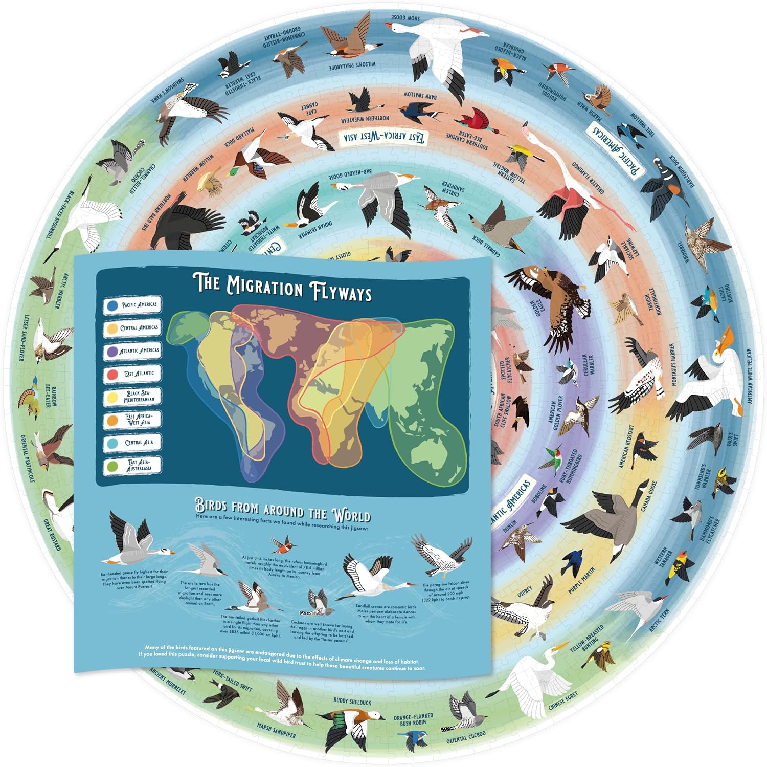 Madár Kedvelők - díszdobozban Ridley's Games 1000 darabos kirakó puzzle (GA - 9781797229140) - puzzlegarden