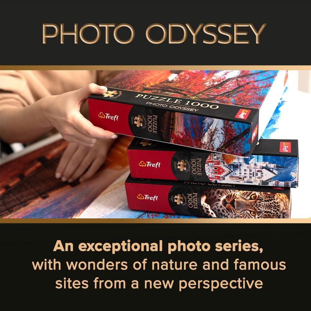 Neuschwanstein Kastély, Németország Trefl 1000 darabos kirakó puzzle (TR - 10813) - puzzlegarden