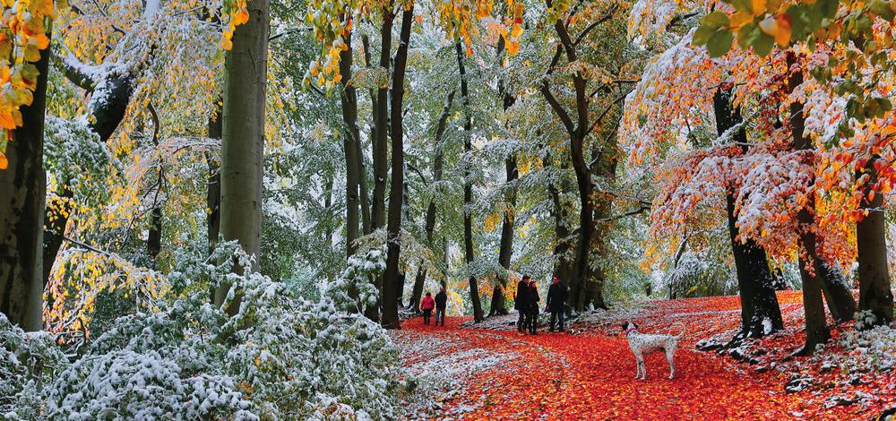 Őszi hóesés - panoráma Gibsons 636 darabos kirakó puzzle (G - G4057) - puzzlegarden
