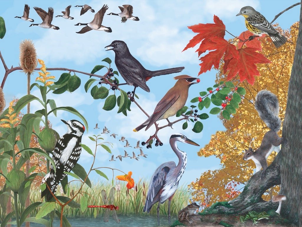 Őszi Madarak New York Puzzle Company 1000 darabos kirakó puzzle (NYPC - NPZCB2159) - puzzlegarden