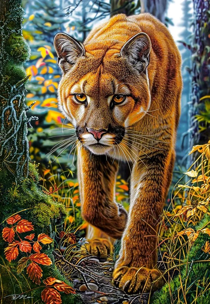Puma az Erdőben Castorland 1500 darabos kirakó puzzle (C - 152261) - puzzlegarden