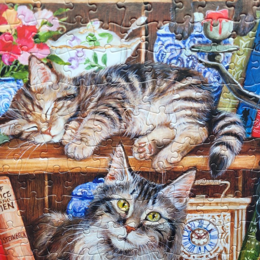 Puss Back in Books - XL Gibsons 500 darabos kirakó puzzle (G - G3560) - puzzlegarden
