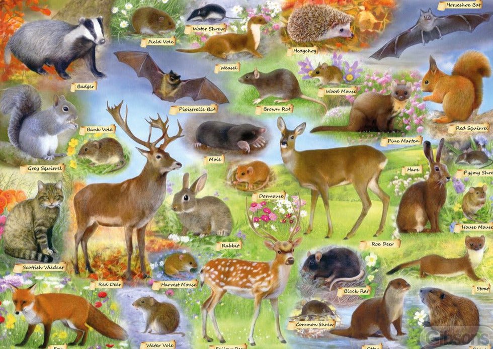 Brit Vadvilág Gibsons 500 darabos kirakó puzzle (G - G3142) - puzzlegarden