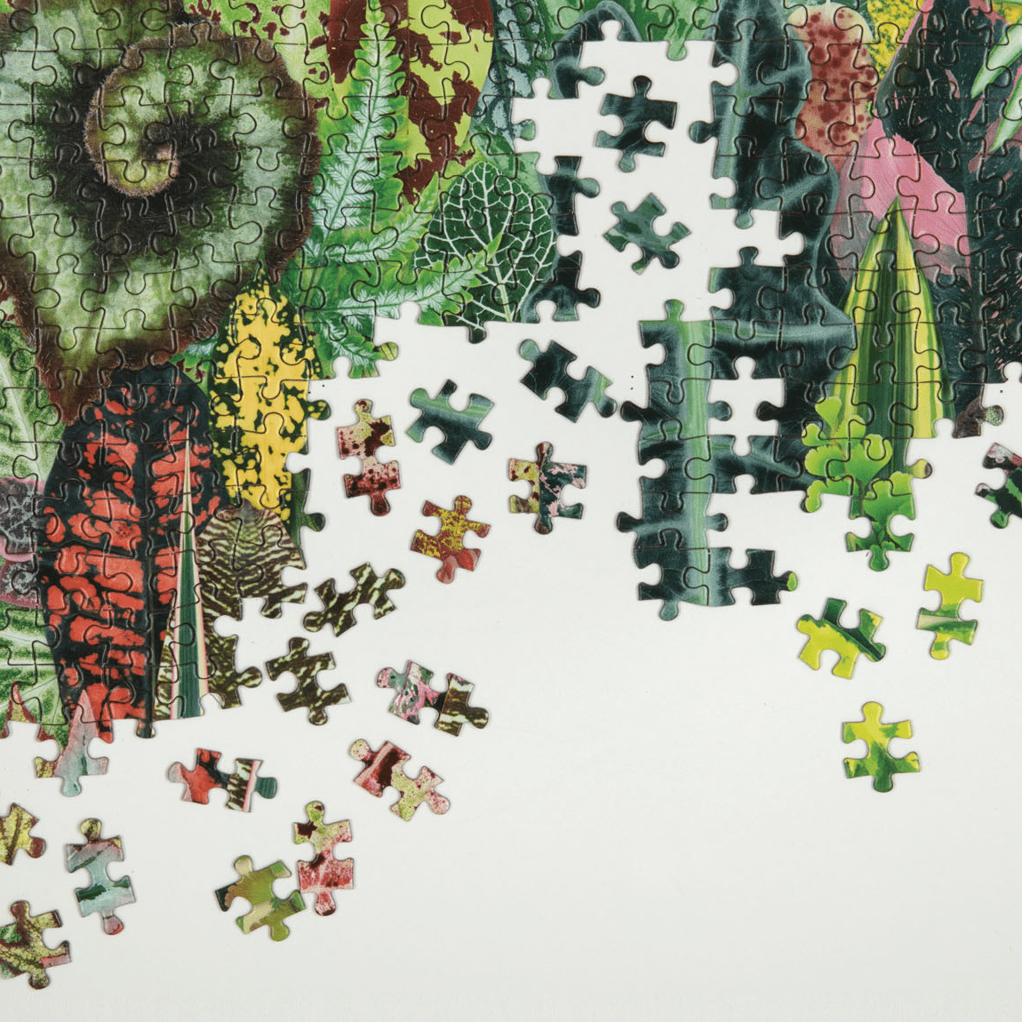 Szobanövény Dzsungel Galison 1000 darabos kirakó puzzle (GA - 9780735359611) - puzzlegarden