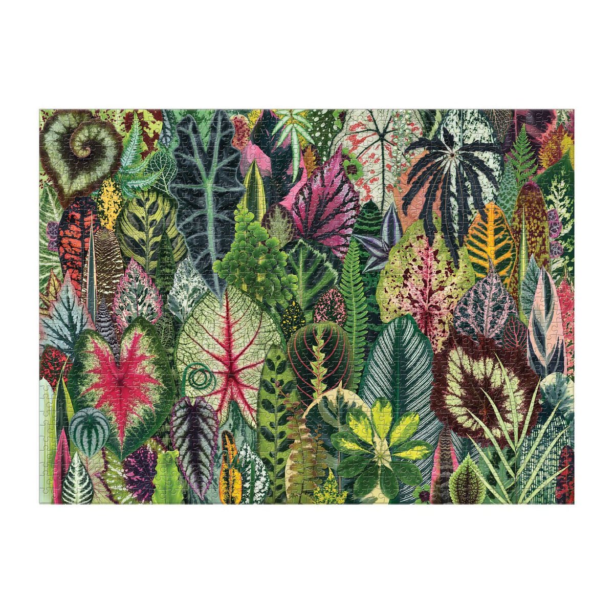 Szobanövény Dzsungel Galison 1000 darabos kirakó puzzle (GA - 9780735359611) - puzzlegarden