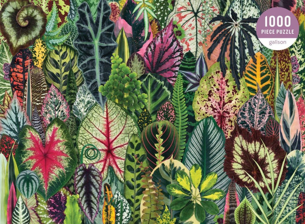 Szobanövény Dzsungel Galison 1000 darabos kirakó puzzle (GA - 9780735359611) - puzzlegarden