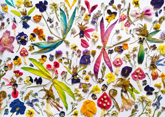 Tündérek és Szitakötők Enjoy 1000 darabos kirakó puzzle (EN - 2041) - puzzlegarden