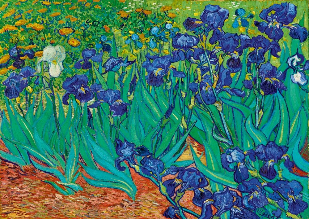 Van Gogh - Íriszek Bluebird 1000 darabos kirakó puzzle (BB - 60006) - puzzlegarden
