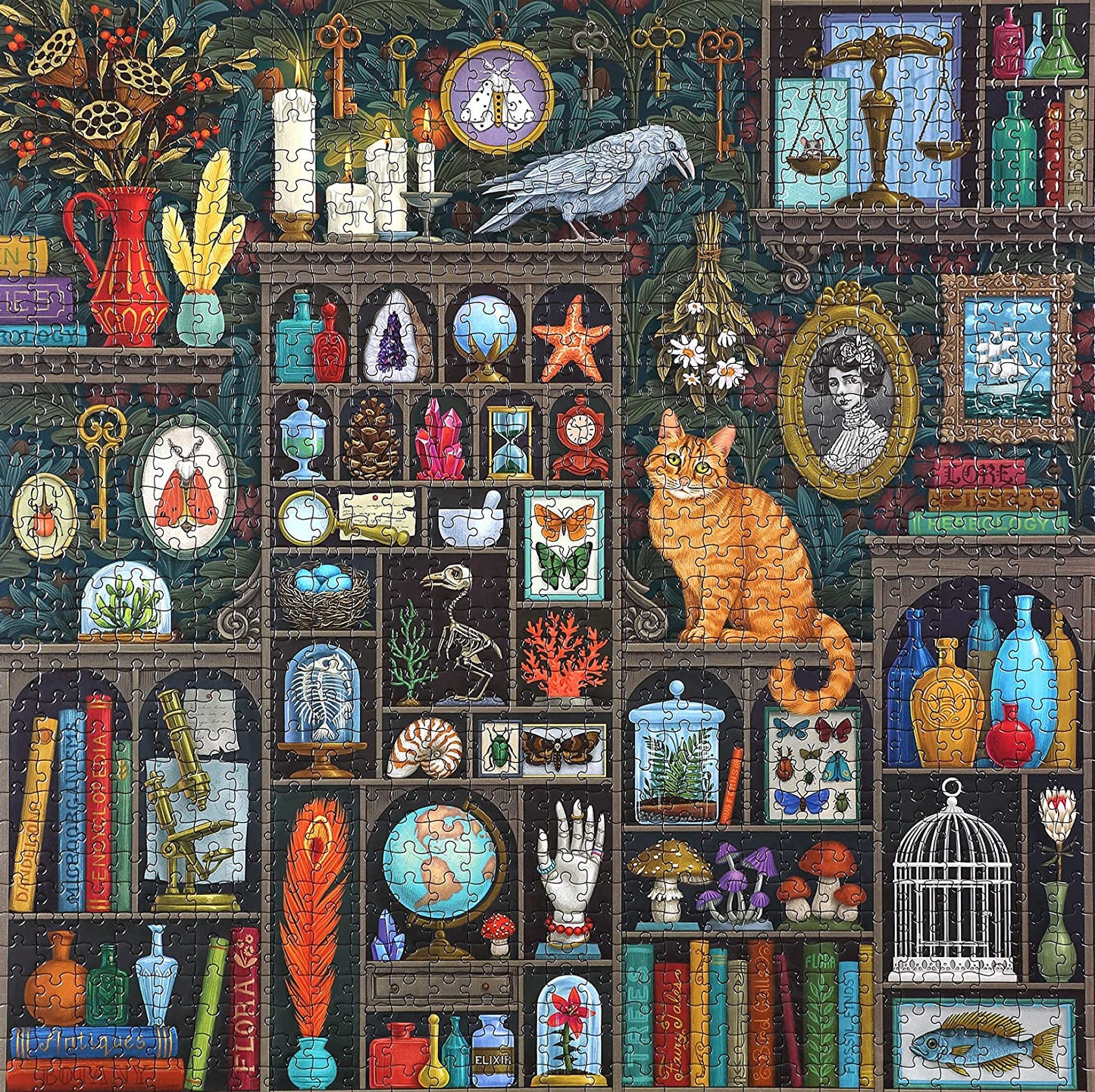 Az Alkimista Szekrénye Eeboo 1000 darabos kirakó puzzle (EB - PZTALC) - puzzlegarden