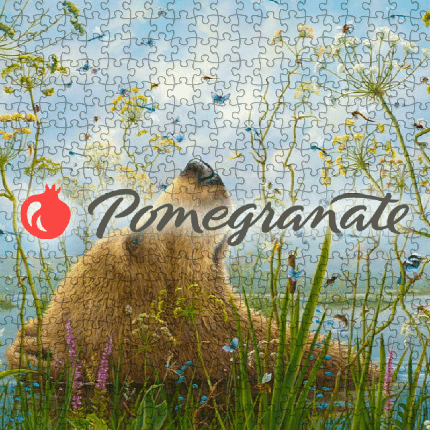 Pomegranate - puzzlegarden
