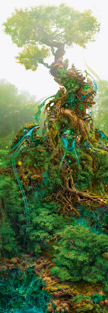 Enigma Trees - Ciánfa