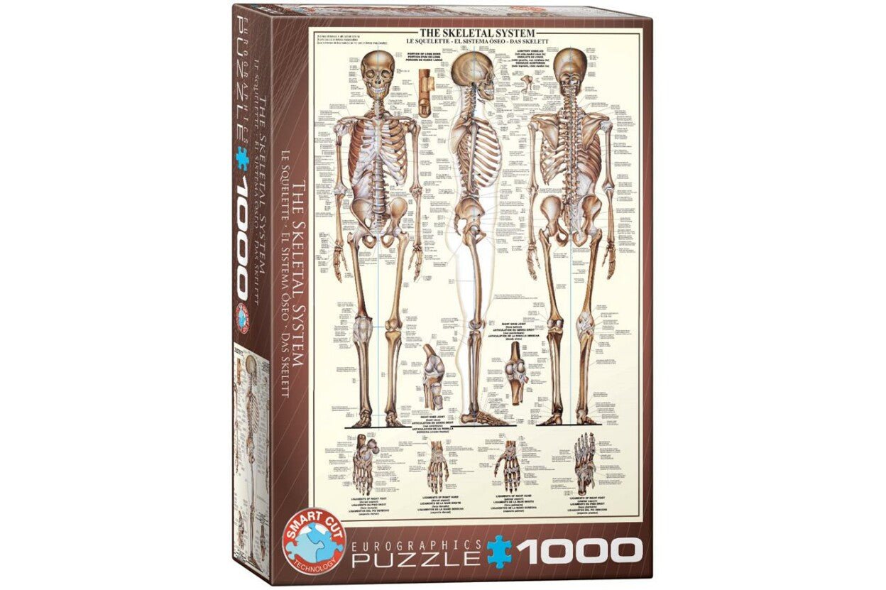 A Csontváz EuroGraphics 1000 darabos kirakó puzzle (EUR-6000-3970 628136639705) - puzzlegarden