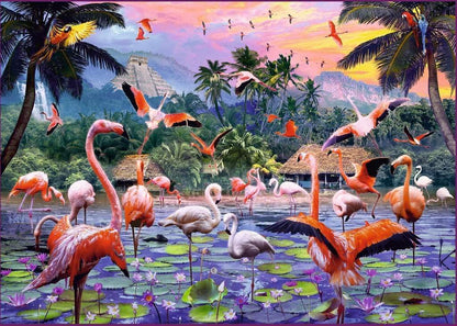 Rózsaszín flamingók