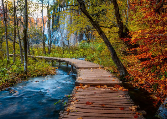 Gyönyörű Gyalogutak - Őszi ösvény az erdőben, Horvátország