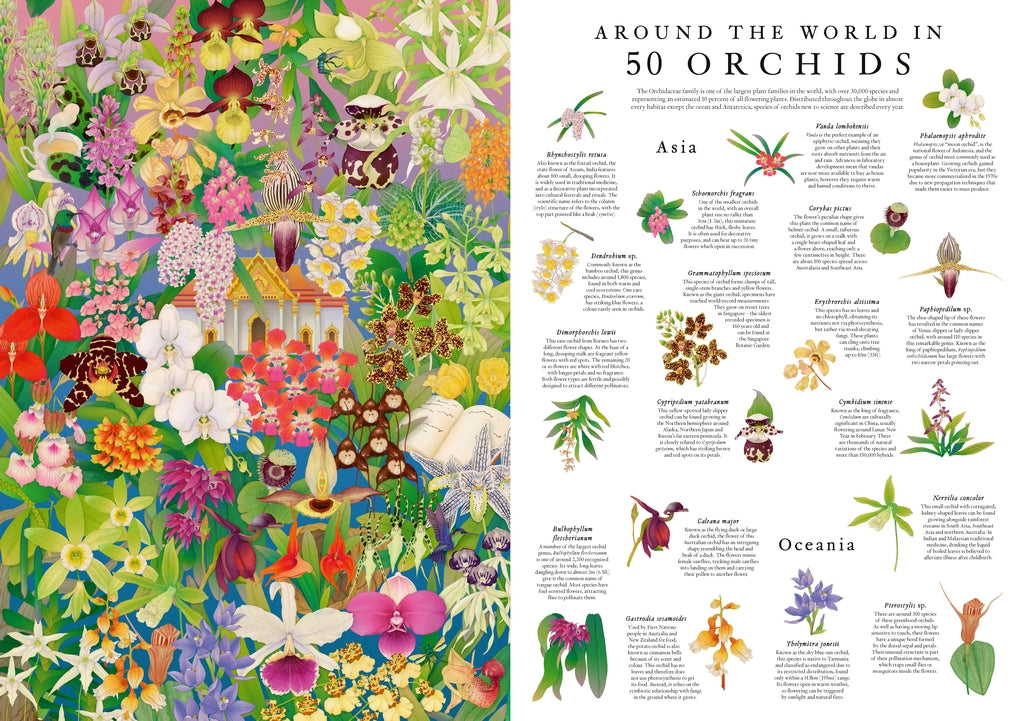 50 orchidea a világ körül