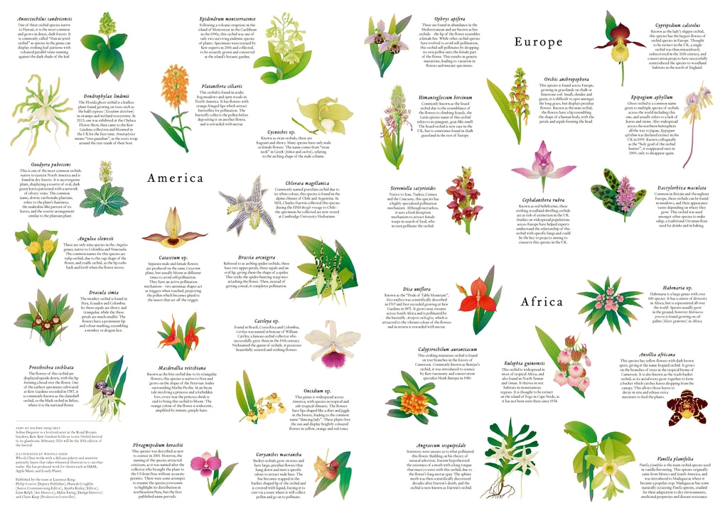 50 orchidea a világ körül