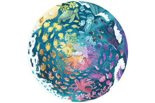 Circle Of Colors - Óceán Ravensburger 500 darabos kirakó puzzle (RA-17170 4005556171705) - puzzlegarden