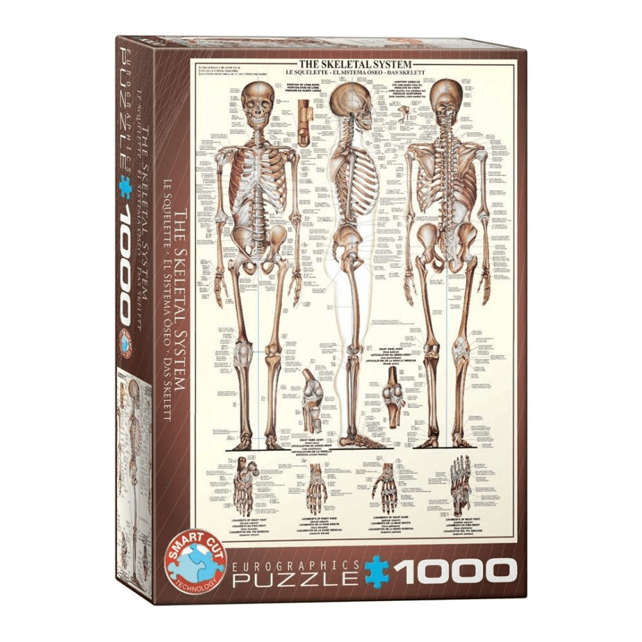 A Csontváz Eurographics 1000 darabos kirakó puzzle (EUR-6000-3970) - puzzlegarden
