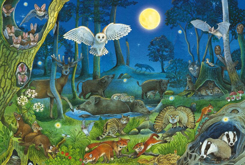 Állatok az éjszakai erdőben Schmidt Spiele 100 darabos kirakó puzzle (SCH-56529) - puzzlegarden