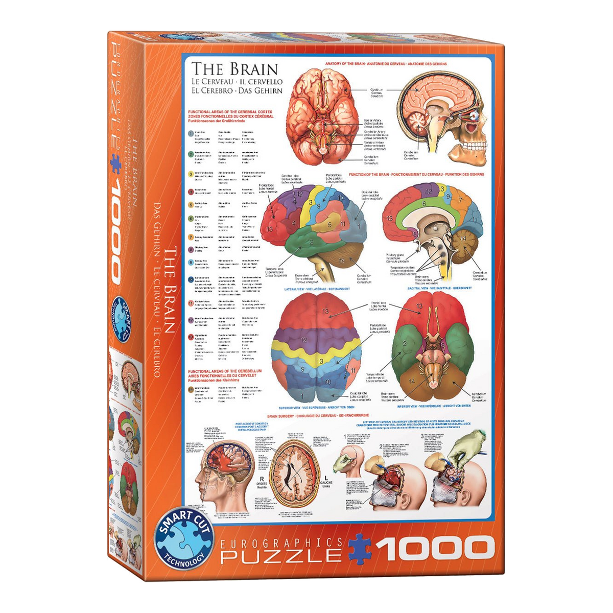 Az Agy Eurographics 1000 darabos kirakó puzzle (EUR-6000-0256) - puzzlegarden