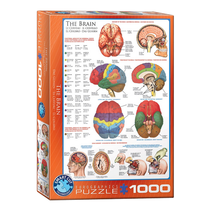 Az Agy Eurographics 1000 darabos kirakó puzzle (EUR-6000-0256) - puzzlegarden