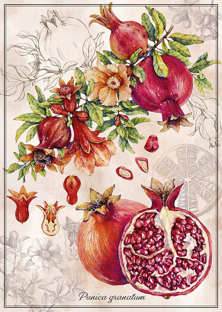 Botanika 5 – Gránátalma Interdruk 1000 darabos kirakó puzzle (ID-PUZ1000B5POM) - puzzlegarden