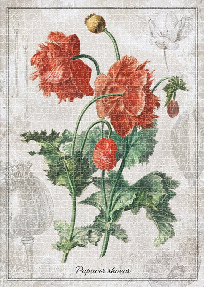 Botanika – Pipacs Interdruk 1000 darabos kirakó puzzle (ID-PUZ1000BPOP) - puzzlegarden