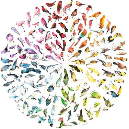 Circle of Colors – Madarak színköre – teljes kirakókép