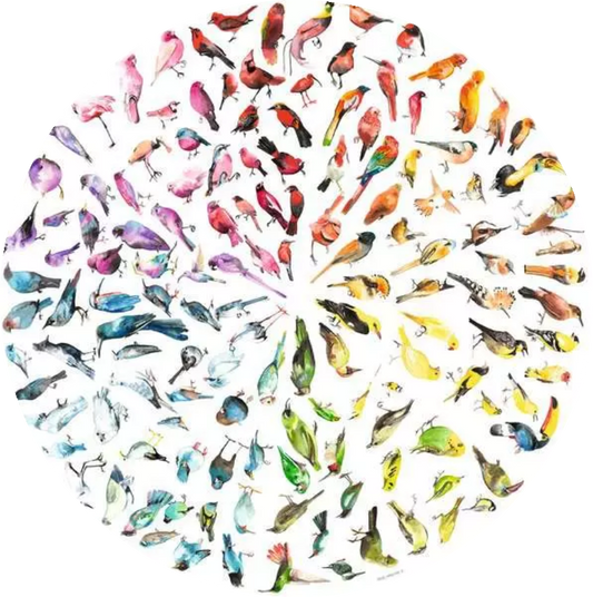 Circle of Colors – Madarak színköre Ravensburger 500 darabos kirakó puzzle (RA-12001995) - puzzlegarden
