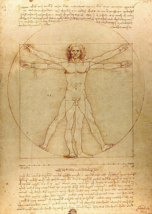Da Vinci - Vitruvius-tanulmány Enjoy 1000 darabos kirakó puzzle (EN-1557 5949194015573) - puzzlegarden