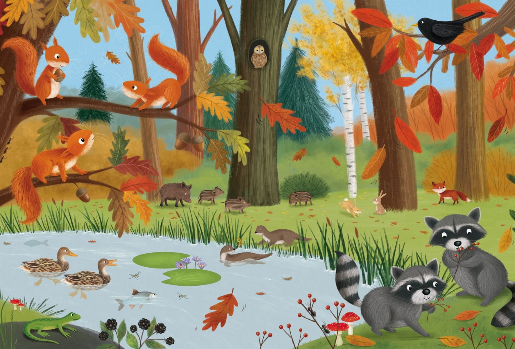 Erdei és mezei állatok – 3x24 Schmidt Spiele 3x24 darabos kirakó puzzle (SCH-56581) - puzzlegarden