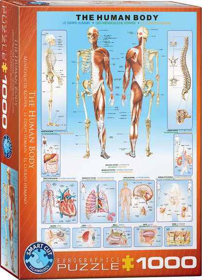 The Human Body 1000 darabos Eurographics puzzle kirakó (6000-1000)