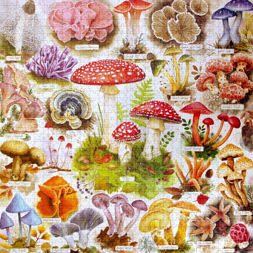 Gombabőség Eeboo 1000 darabos kirakó puzzle (EB-EPZT501) - puzzlegarden