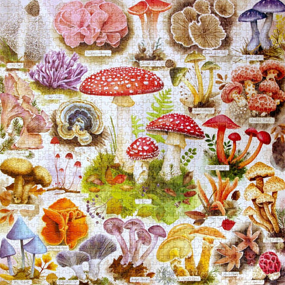 Gombabőség Eeboo 1000 darabos kirakó puzzle (EB-EPZT501) - puzzlegarden